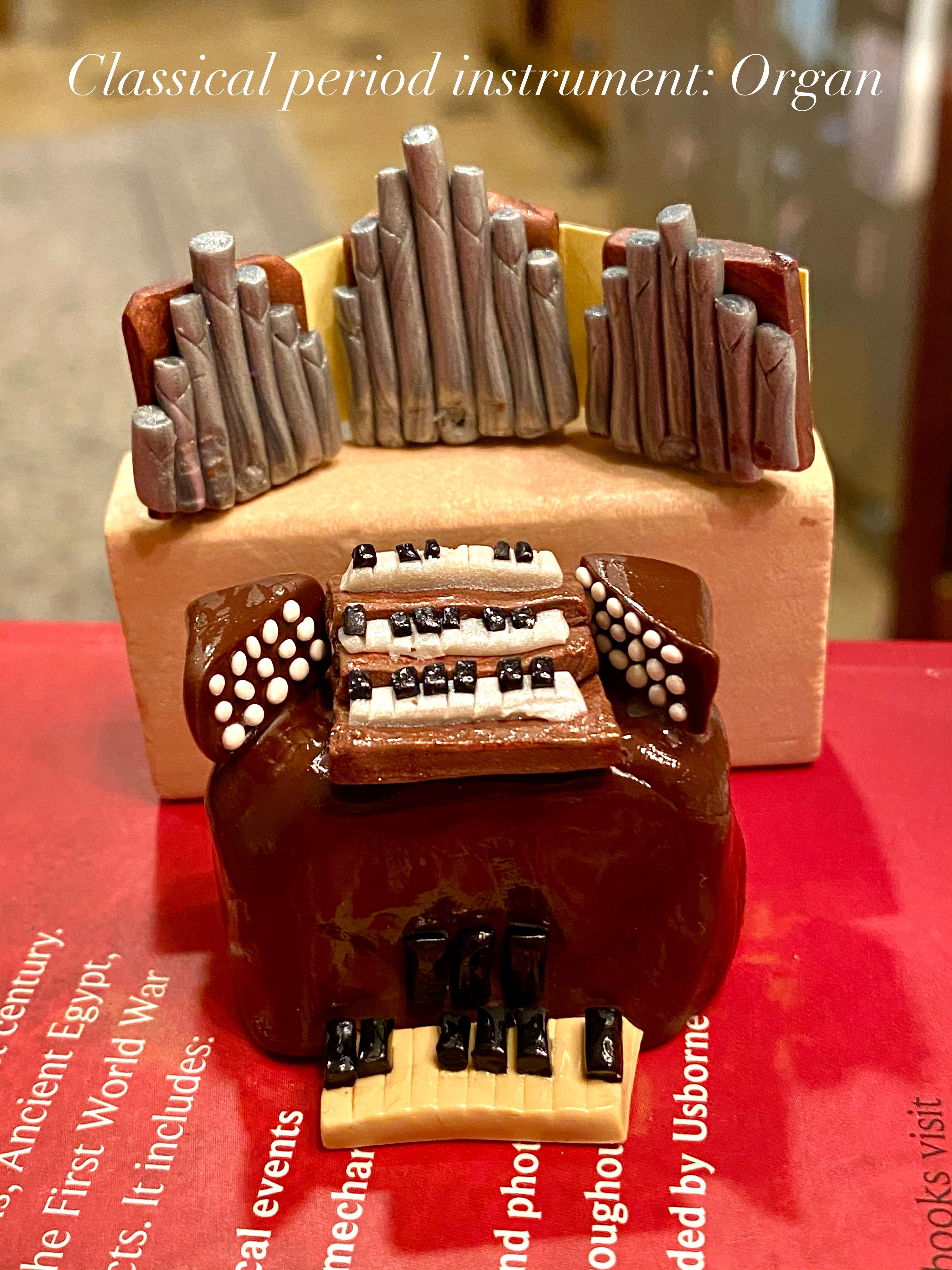 Organ Model made out of clay