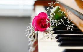 Piano Recital Flowers